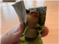 sea bass roll